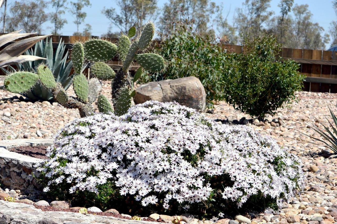 Hacienda Los Picachos Alcocer Ngoại thất bức ảnh