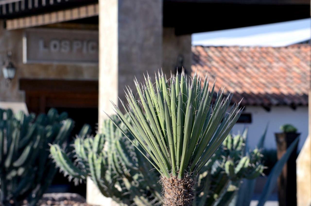 Hacienda Los Picachos Alcocer Ngoại thất bức ảnh