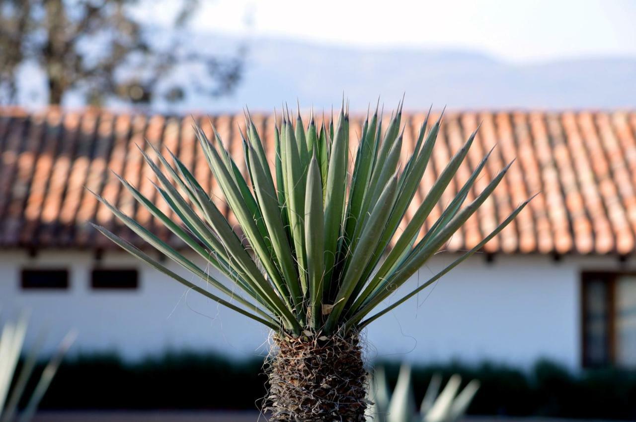 Hacienda Los Picachos Alcocer Ngoại thất bức ảnh
